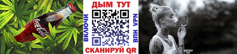 Купить где  Полярные Зори  Canna-Cookies конопля 