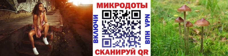 Купить закладки  Полярные Зори  Галлюциногенные грибы Psilocybine cubensis 