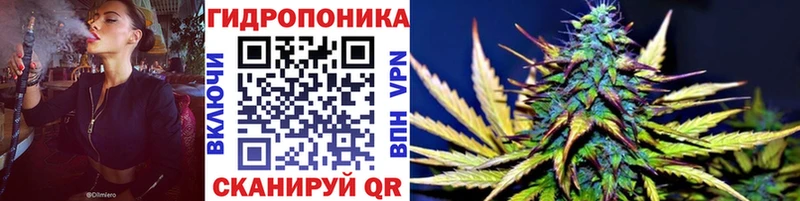 Марихуана VHQ  Купить закладки  Полярные Зори 
